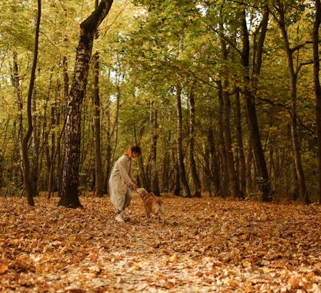 葉黃素推介讓眼睛更加亮麗
