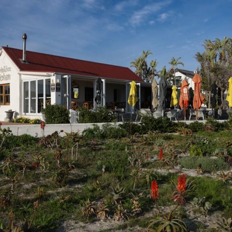 共享廚房：打造美味創業新舞台