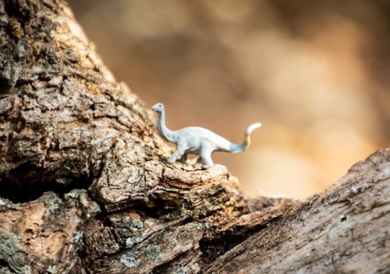 迷你倉趣談：輕鬆搞懂迷你倉的大小事