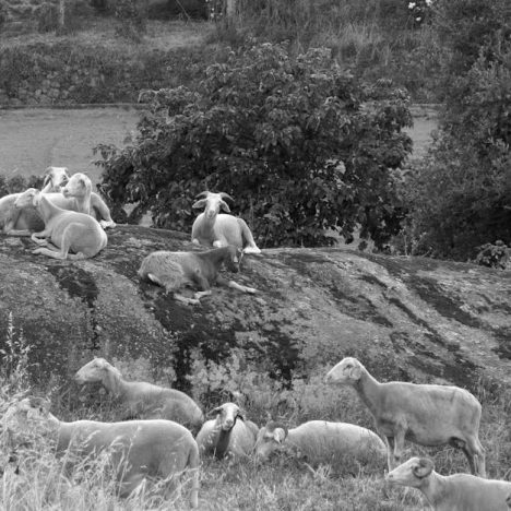 樓按計算機：助您智慧理財的得力工具