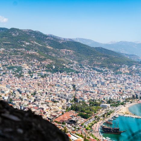 滅蝨公司：戰勝害蟲的專業力量與奮鬥故事