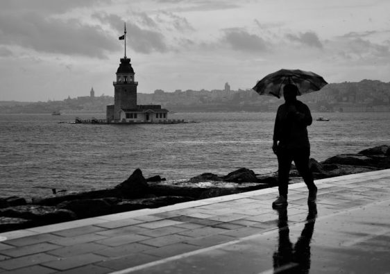 探索 On Protein 香港：震撼身心的力量之源