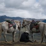 POS系統的重要性與應用分析