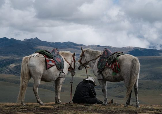 POS系統的重要性與應用分析