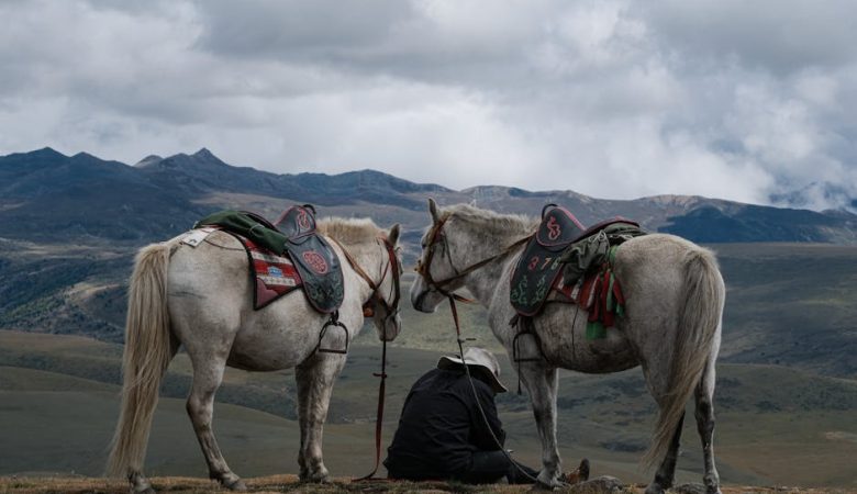 POS系統的重要性與應用分析