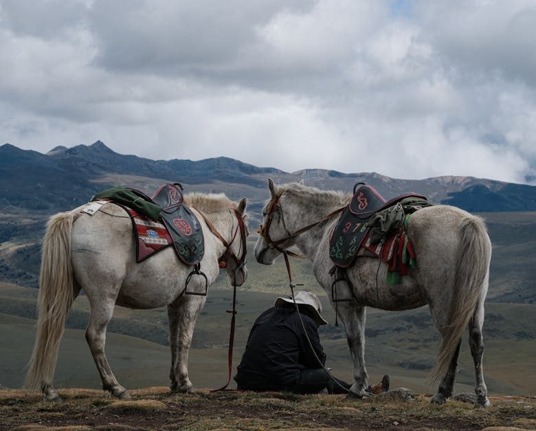 POS系統的重要性與應用分析