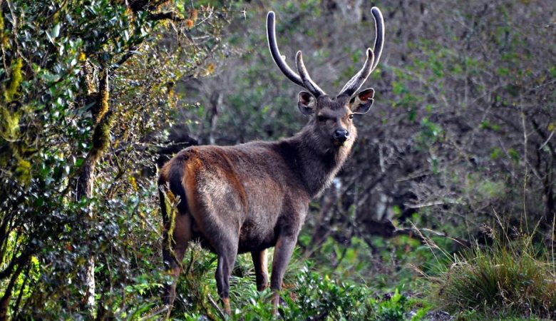 國際快遞：讓包裹飛越地球的不思議旅程
