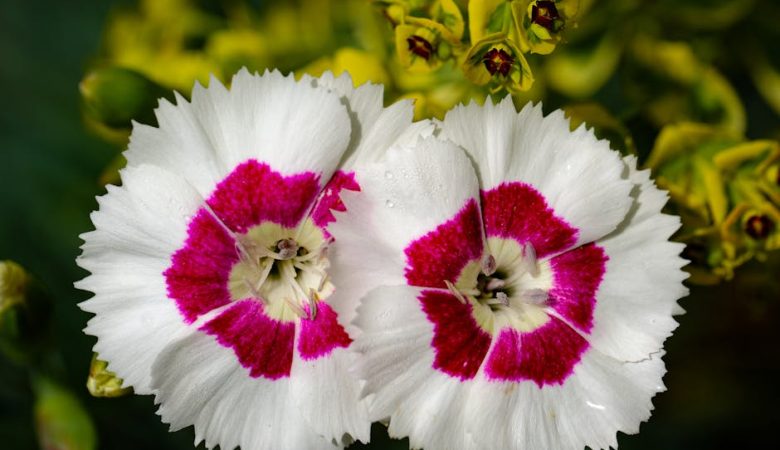 迷你倉的專業解析與實例應用