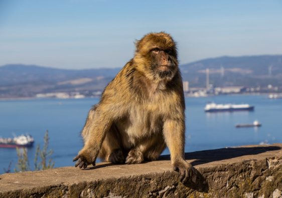 媽媽手治療：有效康復的關鍵方法