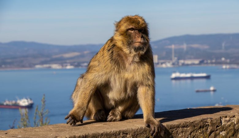 媽媽手治療：有效康復的關鍵方法